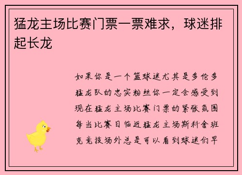 猛龙主场比赛门票一票难求，球迷排起长龙